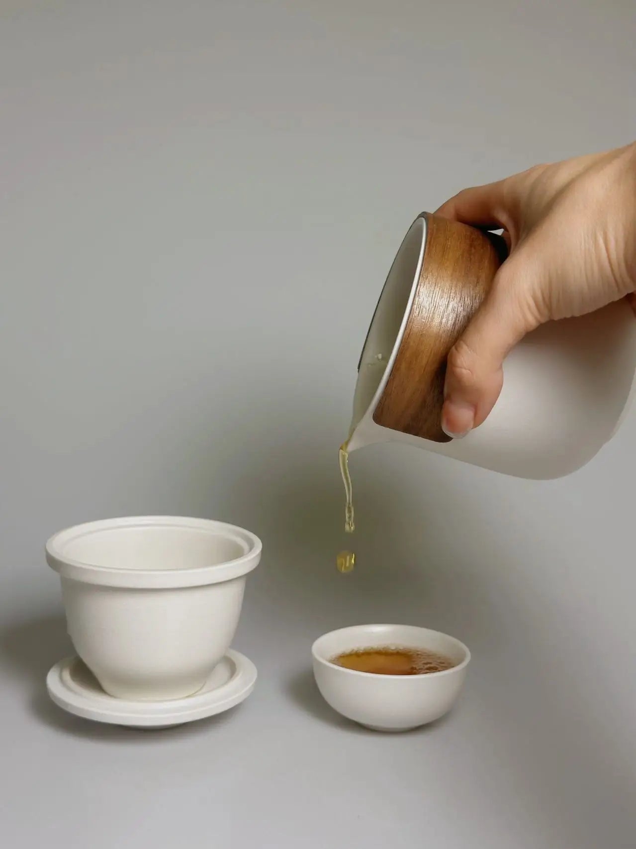 Portable Ceramic Travel Tea Set|Tea Ceremony|Teapot and Tea Cup Set|Outdoor Chinese Tea Set