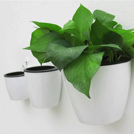 Wall Mounted Plastic Potted Plant Flowerpot Creative Automatic Water-Absorbing Wall Hanging Small Flower Pot Wall Decoration
