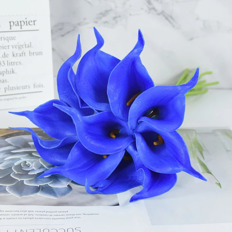 47698899403083|47698899435851