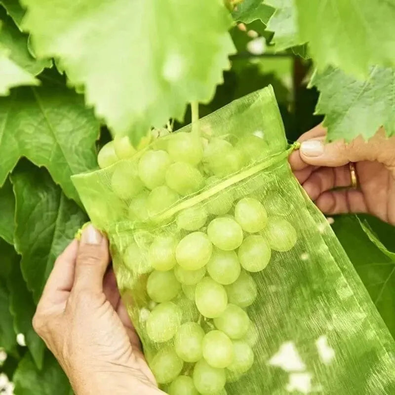 50Pcs Bundle Mouth Organza Drawstring Garden Bird Proof Net Fruit Protection Bag Mesh Fruit Growing Bag