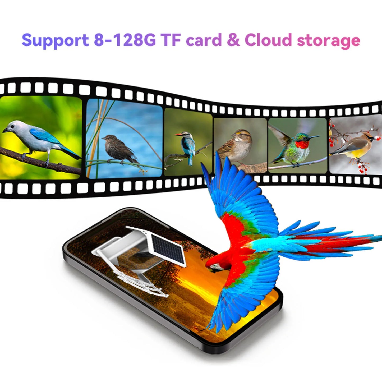 Smart Bird Feeder with Camera Solar Powered Waterproof for Garden Bird Watching Camera for Canary Hummingbirds Orioles Owls Dove