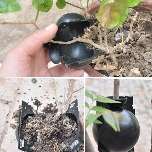 10Pcs Plant Rooting Ball Propagation Rooting Box Reusable Plant Root Growing Box Cuttings Grafting Rooting Propagation Pots