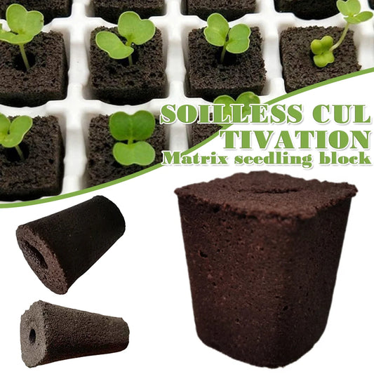 50pcs Seed Root Growth Sponges Soilless Growing Seedling Growth Helper Seed Starter Plugs for Hydroponic Flowers Plants