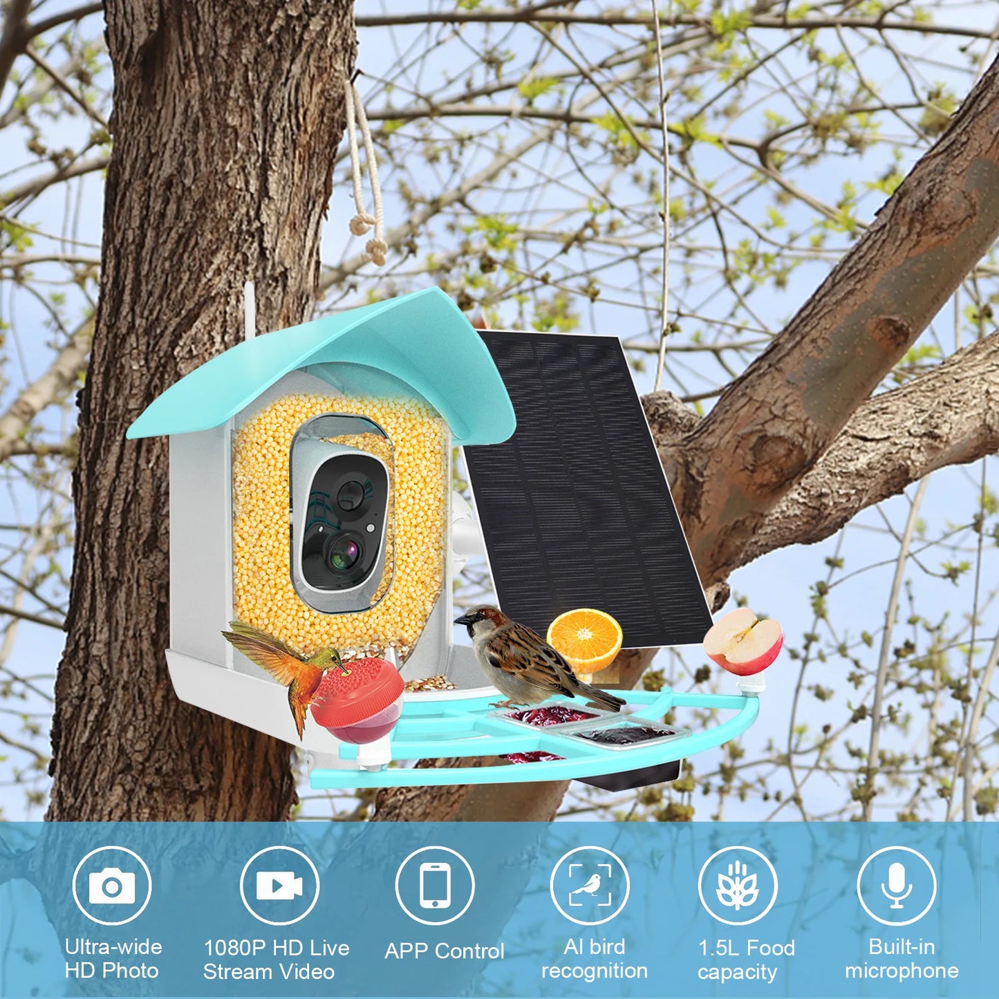 Smart Bird Feeder with Camera High Resolution PIR Motion Detection AI Intelligent Recognition Birds Species Solar Powered 1080P
