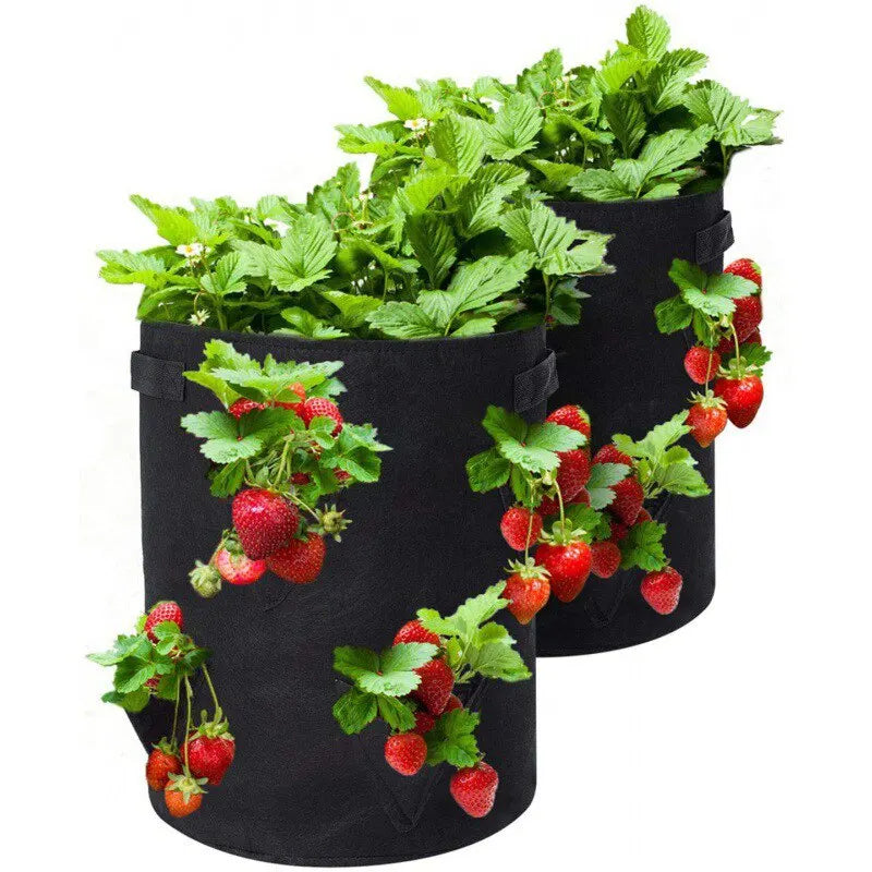 Spring Strawberry Growing Bag Vegetable Planting Bag Grow Pot Plant 5/7/10Gal Grow Bag Garden Terrace Multi-mouth Container Bags