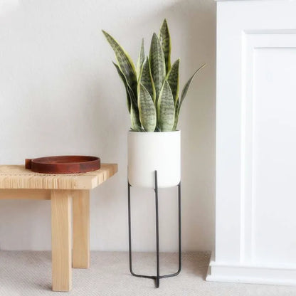 21CM-68CMArtificial Tiger Piran Plants Tropical Plastic Long Leaves Flower Arrangement Material Hotel Office Desktop Home Deco