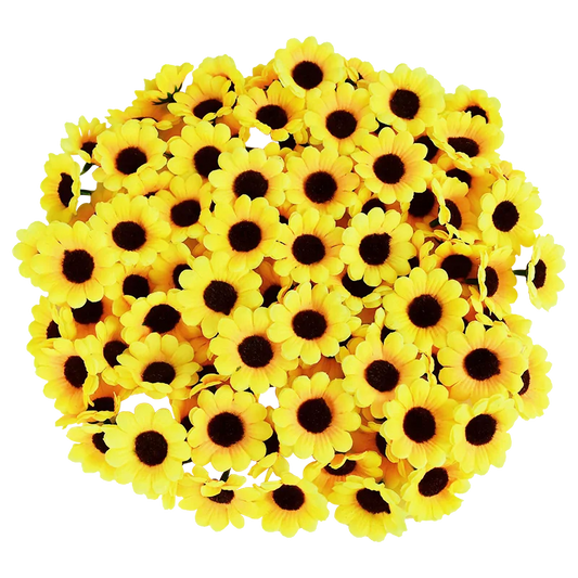 47698870174027|47698870239563