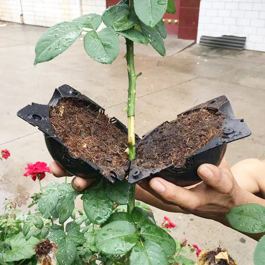 Plant Rooting Ball Propagation Rooting Box Plant Cloner Grafting Breeding Seeding Container Nursery Box Garden Seeds Root Cases