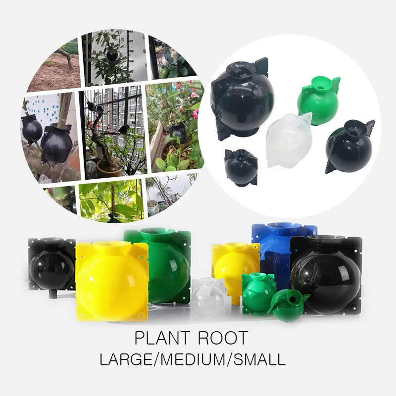 PROOTTO DI ROOT ROOT PROPAGAZIONE ROOT ROOT CASSE Cloner Cloner Innesto di allevamento Contenitore Nursery Box Seeds Garden Seeds Case di radice