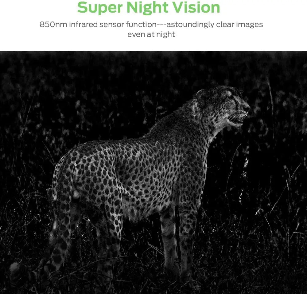 מצלמת ציד מיני שבילים צייד פראי צייד MINI600 20MP 1080P מצלמות בעלי חיים חיות בר מצלמות ראיית לילה מלכודות צילום מעקב