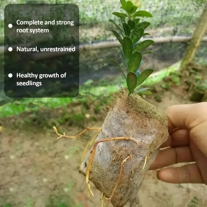 8x10cm 100db biológiailag lebontható vetőmagos óvodás táskák, nem szőtt növények Growbags, szövet palack edények növények tasak, otthoni kerti ellátás