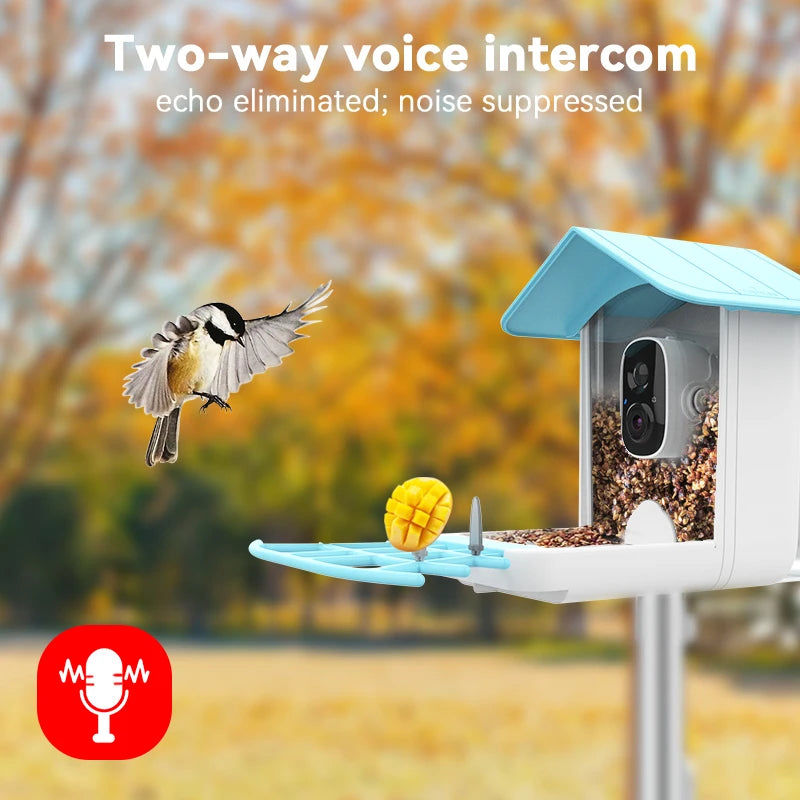 Smart Bird Feeder Camera 2.4g WiFi Wiless Outdoor HD 1080p avec caméra de montre à oiseaux de pannelle solaire Capture automatique Bird Video