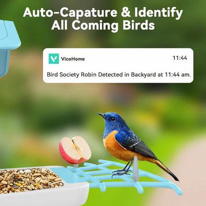 Smart Bird Feeder Camera 2.4G Wi -Fi Wireless Outdoor HD 1080p z słonecznym panelowym ptakiem zegarek auto przechwytywania ptaków wideo Powiadomienie