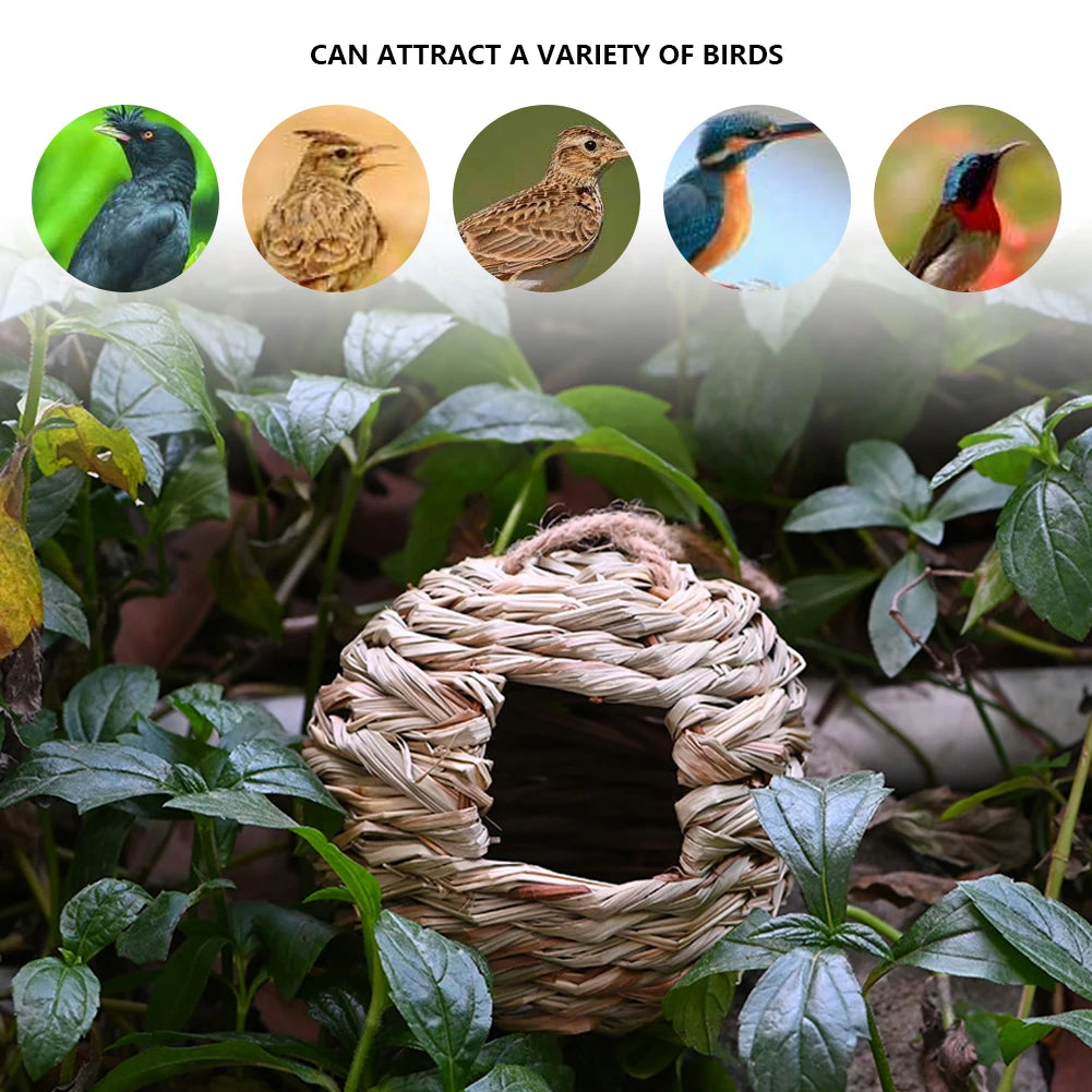 Nido de colibrí aves nido nido jaula colgante de pájaro colgante casa tejida a mano colgada nido de paja pájaro natural para patio de jardín