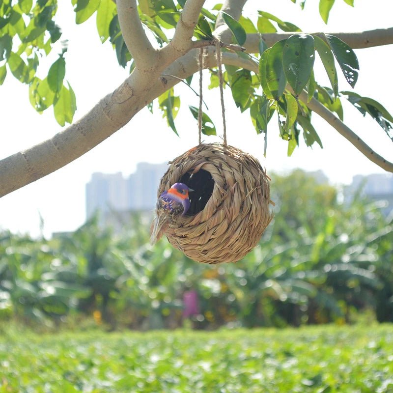 Ptáci hnízda ptačí klece Natural Reed Grass Sférical Hummimingbird Nest Outdoor Dekorativní tkalcovské ptačí hnízdo Zveřejněné
