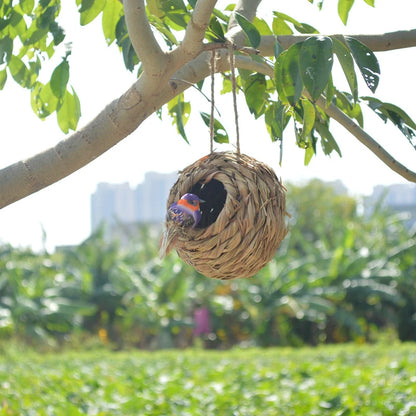 Uccelli nidificano gabbia uccello canna naturale erba sferica sferica colibrì nido esterno decorativo intrecciato a sospensione di uccelli nido