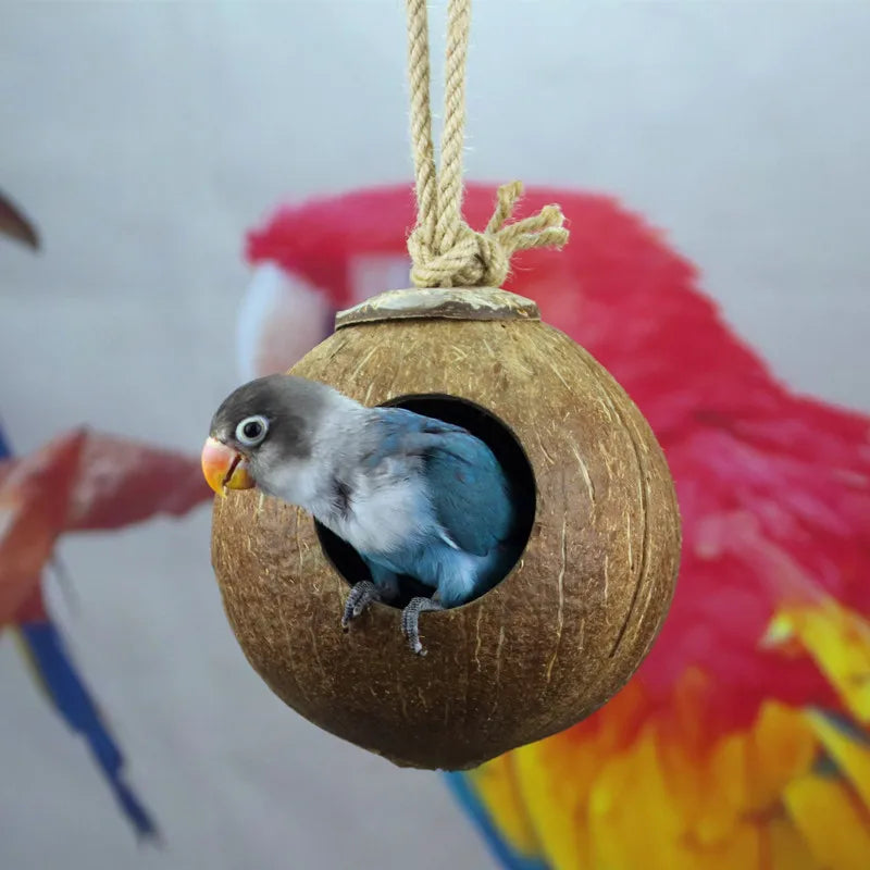 Přírodní kokosová skořápka ptáka klece papoušek dům hnízdní dům klece s visící šňůrou pro malé mazlíčky papoušky Finches Sparrows