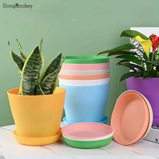 5Sriser Flower Pot Round Planters Candy Color Mini Vase til Succulents Home Office Decor Planting Forsyning af høj kvalitet af høj kvalitet