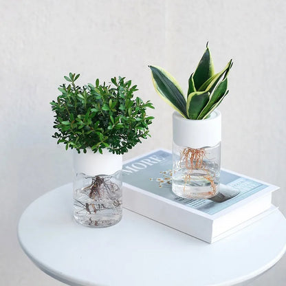 Small Hydroponic Green Plant Vase Home Vase Decor Transparent Imitation Glass Soilless Plant Pots Pot for Home Decoration