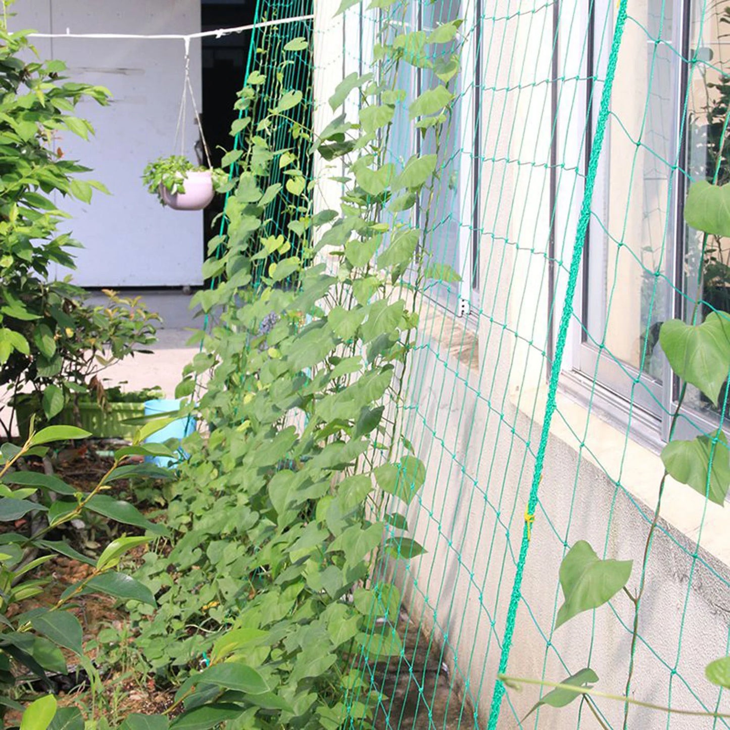Víncula de la planta de jardín Vine en crecimiento de la planta resistente Soporte del enrejado Soporte de pepino colgante Suministros de jardín de la red
