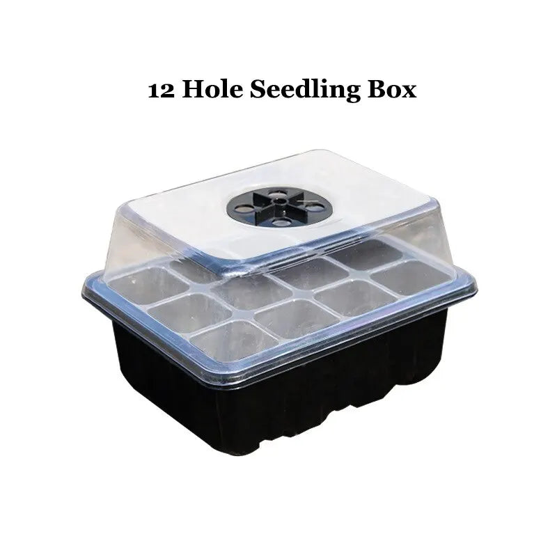 12 Loch Saatling Box Drei -Stück -Set 12 Loch Sämlingbox Feuchtigkeitsspendende Seeding Insertion Box Sukkulenter Blütentopf
