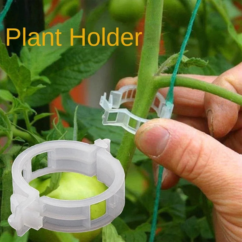 50Pcs Plastic Plant Support Clips Reusable Plant Vine Protection Grafting Fixing Tool for Vegetable Tomato Garden Supplies