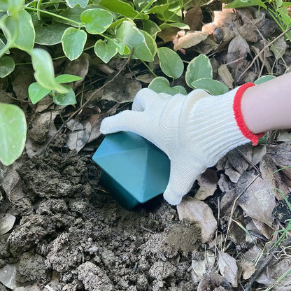 2 piezas de cerveza ecológica jaula de caracol slug casera trampa de caracol receptor de recaudación de plagas de rechazo de plagas de cebo protector de plantas de granja de jardín