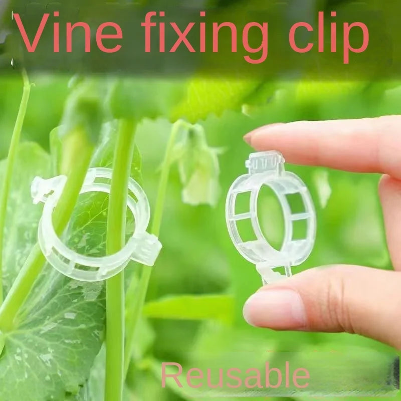 50pcs Planta Plant Support Clips Reutilable Plant Vine Protecting Fixing Tool para suprimentos de jardim de tomate vegetais