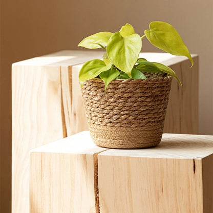 Basket planters blomsterpotter dækker opbevaring kurv plante containere håndvævet kurv planter halm bonsai container