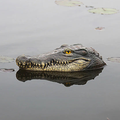 Cabeça de crocodilo Courtyard lago