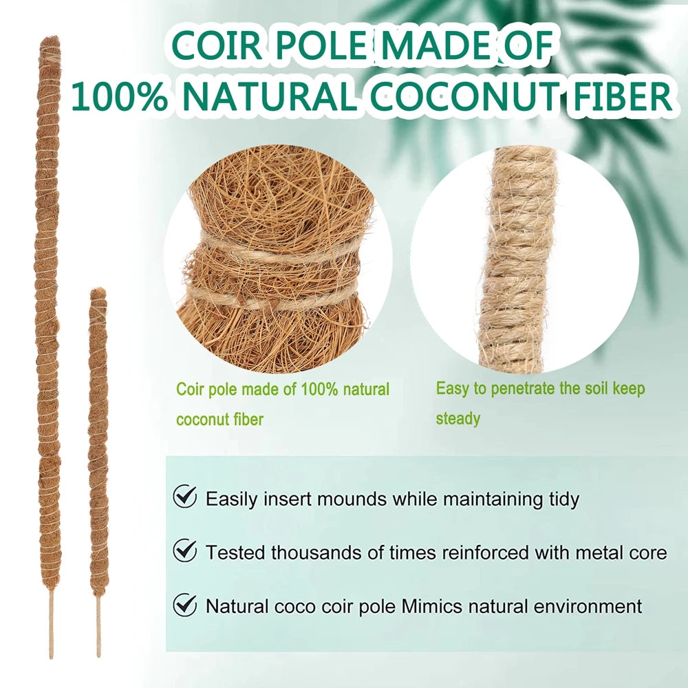 Nagykereskedelem Hajlítható Coco Coir Moss Moss Pole Plant Cage Mighting Pole növény Támogatás Monstera Plant felfelé történő termesztéséhez
