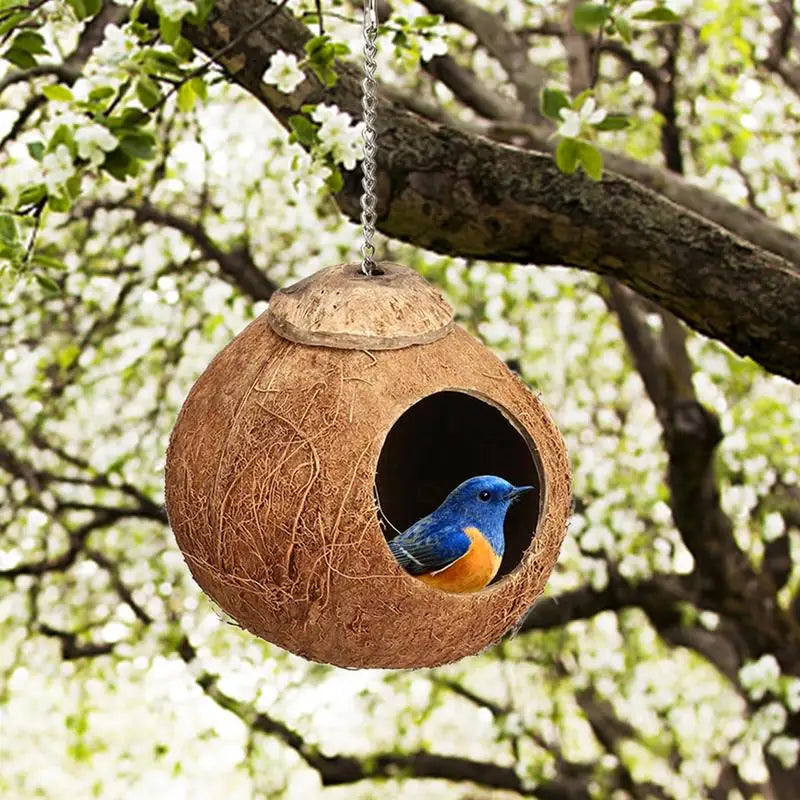 Maison d'oiseau de nid d'oiseau à peau de noix de coco avec échelle d'escalade