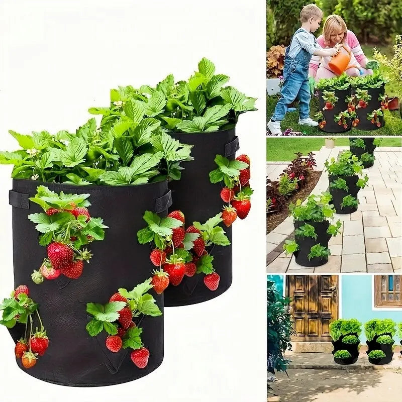Sac de culture de fraise printemps Sac de plantation de légumes Culte Plant 5/7/10 Grow Culter Garden Terrace Multi-bouche Container Sacs