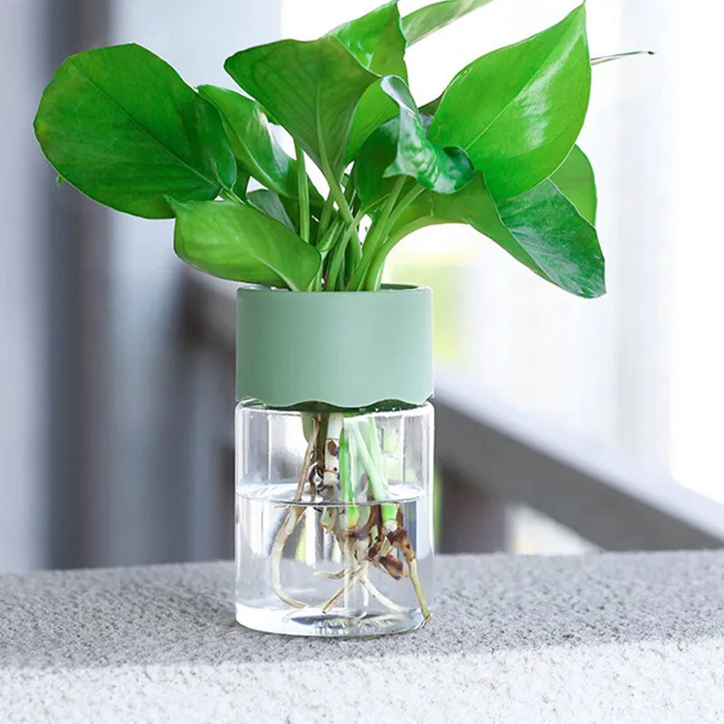 Small Hydroponic Green Plant Vase Home Vase Decor Transparent Imitation Glass Soilless Plant Pots Pot for Home Decoration