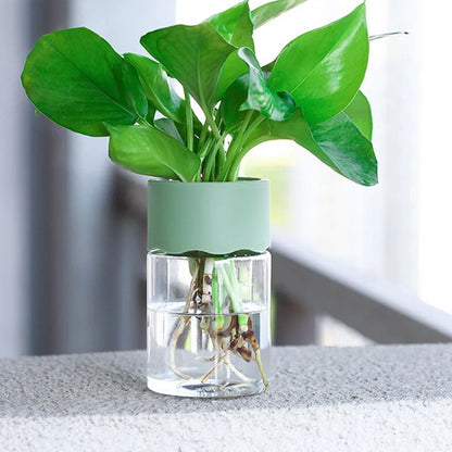 Small Hydroponic Green Plant Vase Home Vase Decor Transparent Imitation Glass Soilless Plant Pots Pot for Home Decoration