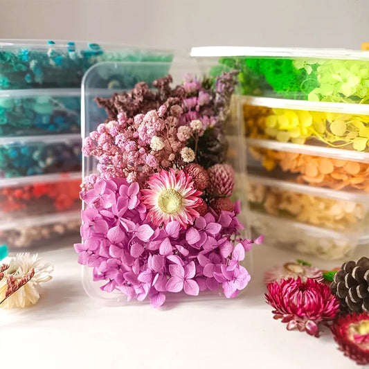 Flores naturais mistas para fabricar capa de celular artesanato de aromaterapia