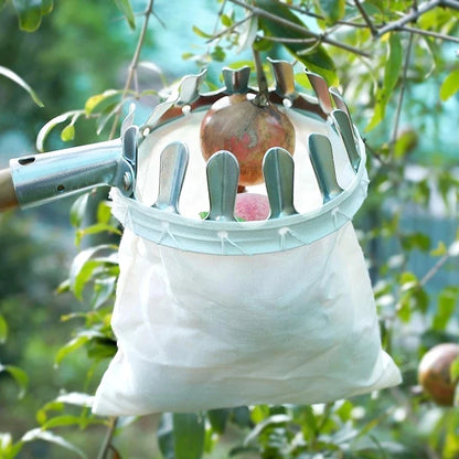 Metal Fruit Picker Orchard Giardinaggio Mela Peach Strumenti di raccolta degli alberi Alti Strumenti da giardinaggio collezionista di frutta