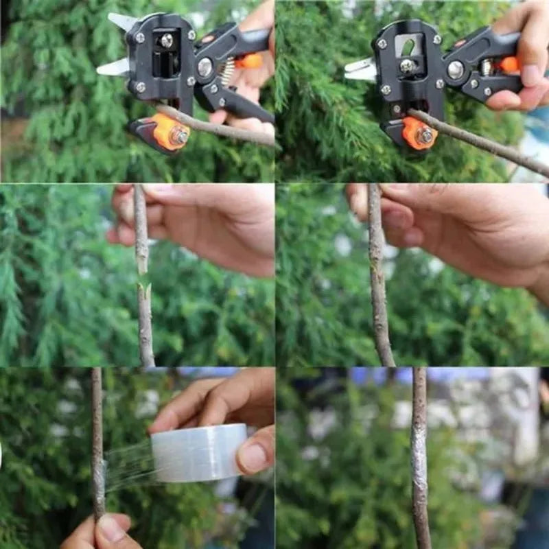 2 em 1 enxerto Ferramenta de tesoura de podsor Ferramenta Profissional Cutter Secateur Plant Plant Fruit Tree Tree Scissor Chopper Enfrenting