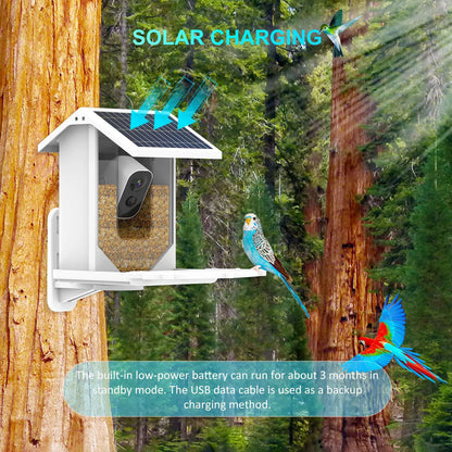 Alimentador de aves inteligente con cámara impermeable con energía solar para la cámara de observación de aves de jardín para los colibríes canarios Orioles Owls Dove