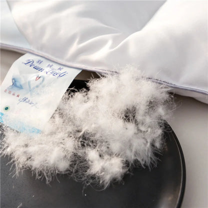 Wysokiej jakości kołdry Down kołdry Zimowe kołdry Zimowe bawełniane skórę przyjazne dla skóry Wygodne i ciepłe kołdrę