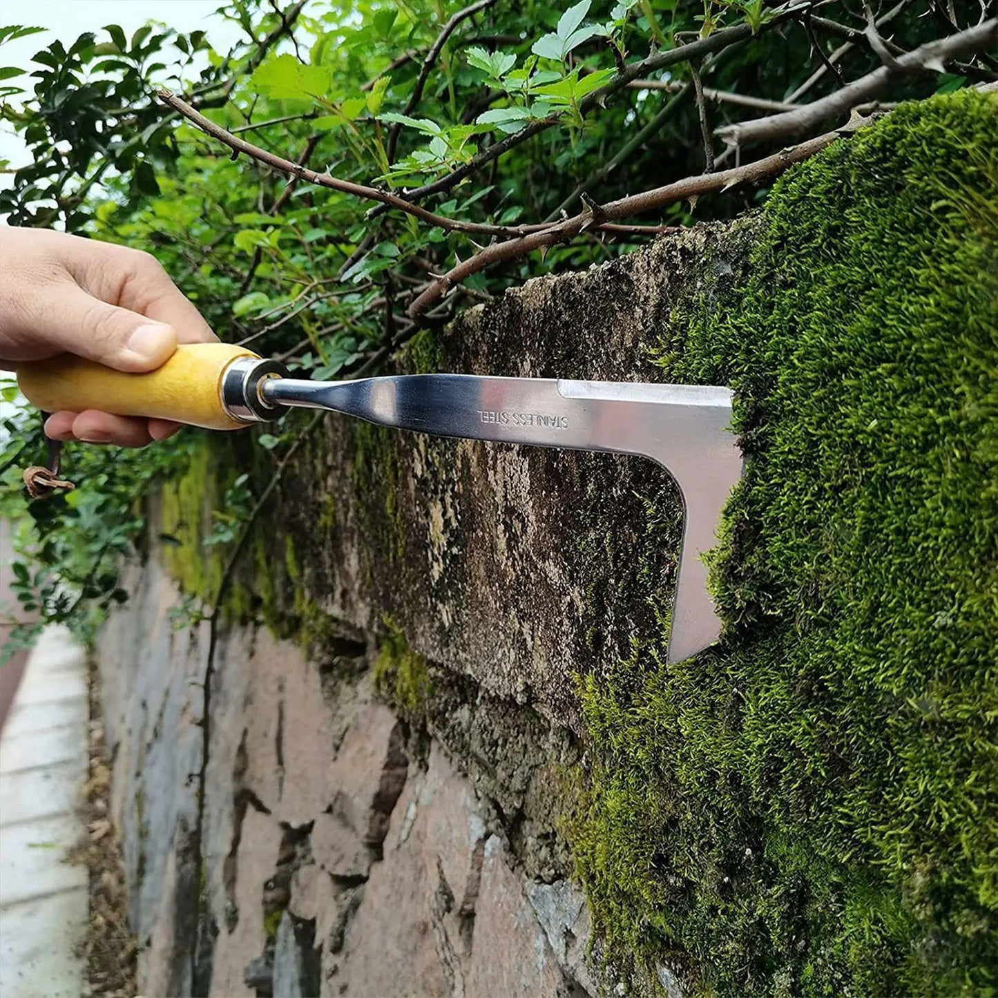 L Shaped Hand Crevice Weederin juurtenpoistotyökalu ulkona rikkakasetus Kannettava rikkakasvien vetäjä Käsitellyn manuaalisen ruostumattomasta teräksestä valmistettu puutarhatyökalu