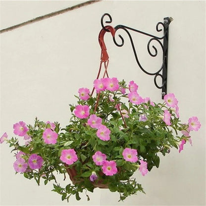 1pc viseće biljke nosač zid viseći metalni željezo viseći nosač kuka kuka cvjetni nosač biljna vješalica vrt vrt vanjski dekor