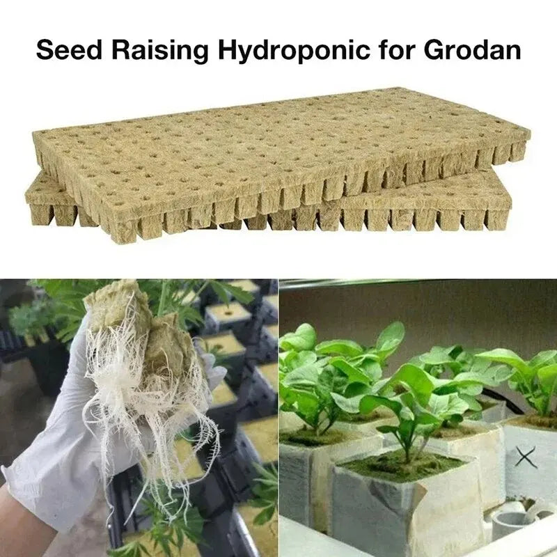 50stcs 25x25x25mm Stonewool Hydroponic Grow Media Cubes Plant Cubes Soilless Substrate Seeded Rock Wool Plug frøplanteblok