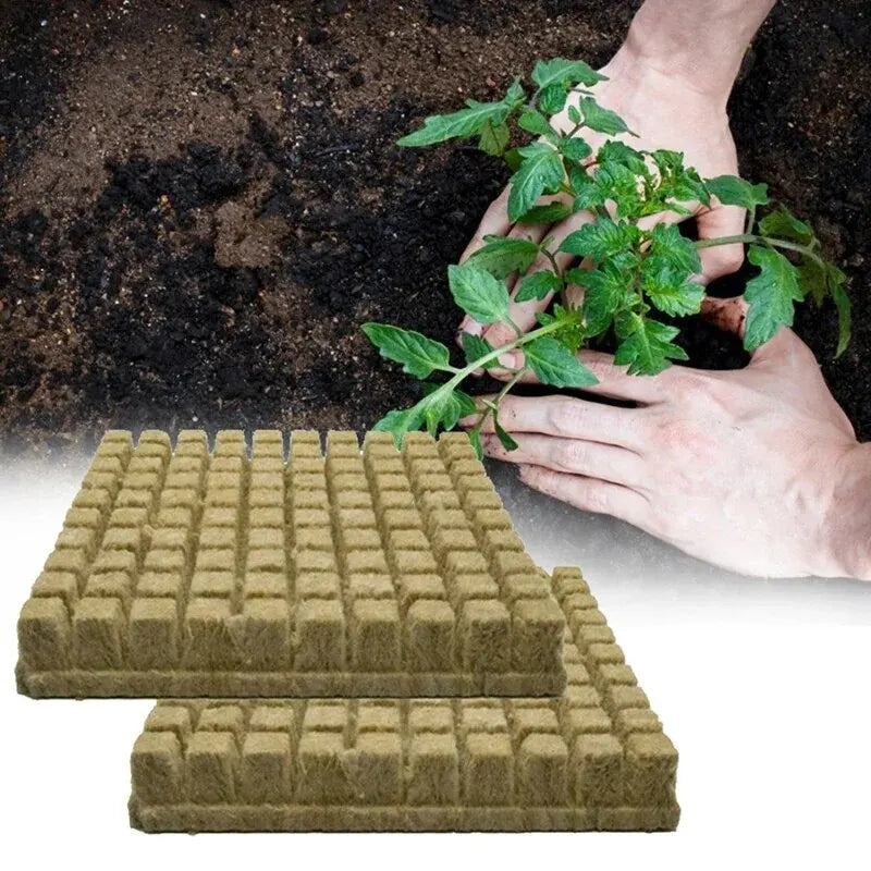50pcs 25x25x25mm Stonewool Hydroponic Media Cubes Pflanzenwürfel Soilless Substrat ausgesät