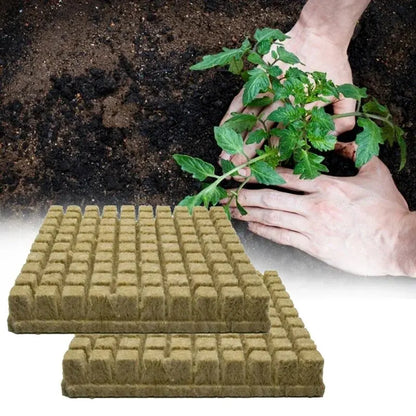 50pcs 25x25x25mm mídia hidropônica de meios de cultivo cubos de planta cubos de planta Soilless Substrato de lã de lã de rocha semeada bloco de mudas