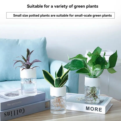 Small Hydroponic Green Plant Vase Home Vase Decor Transparent Imitation Glass Soilless Plant Pots Pot for Home Decoration