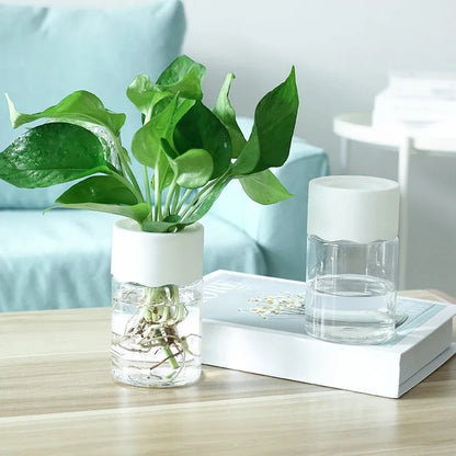 Small Hydroponic Green Plant Vase Home Vase Decor Transparent Imitation Glass Soilless Plant Pots Pot for Home Decoration