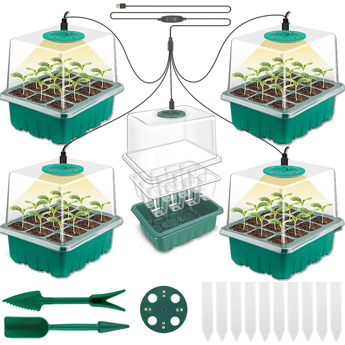 Samenstarterschalen mit wachsen leichten, ausgesätteten Starter -Kits mit Luftfeuchtigkeitsendien, Keimtabletts der Innengartenpflanze