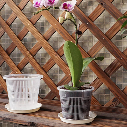 Pot de fleurs en plastique transparent Pot de plantation d'orchidées à racine contrôlée avec des stomates Grow Box Nursery Transplan