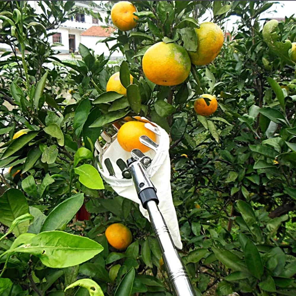 Metal Fruit Picker Orchard Giardinaggio Mela Peach Strumenti di raccolta degli alberi Alti Strumenti da giardinaggio collezionista di frutta